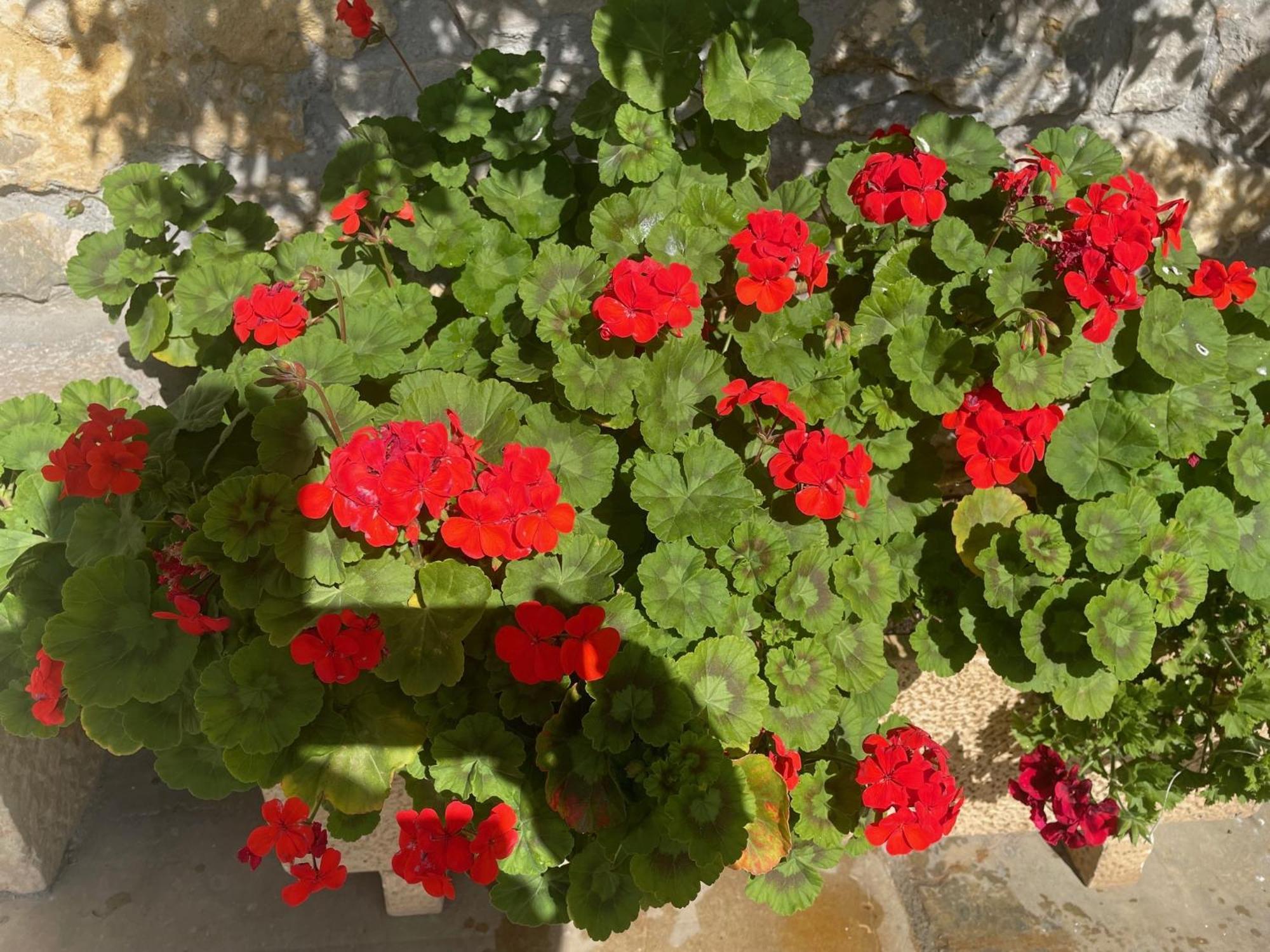 Posada La Victoria Miengo Εξωτερικό φωτογραφία